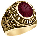 101 Guy's Personalized Oval Class Ring